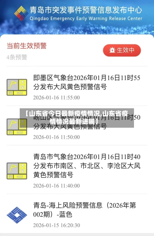 【山东省今日最新疫情情况,山东省疫情情况最新进展】-第1张图片