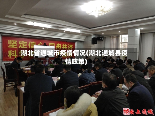 湖北省通城市疫情情况(湖北通城县疫情政策)-第1张图片