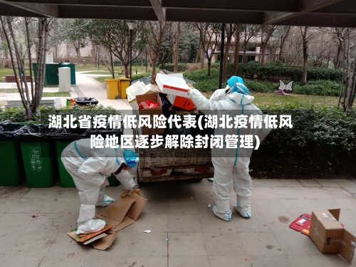 湖北省疫情低风险代表(湖北疫情低风险地区逐步解除封闭管理)-第3张图片