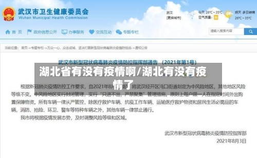 湖北省有没有疫情啊/湖北有没有疫情了-第3张图片