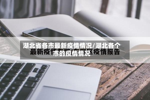 湖北省各市最新疫情情况/湖北各个市的疫情情况-第3张图片