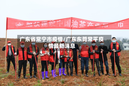 广东省常宁市疫情/广东东莞常平疫情最新消息-第1张图片
