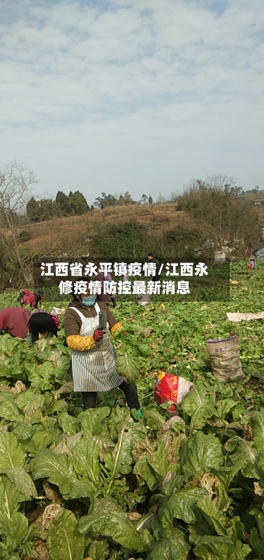 江西省永平镇疫情/江西永修疫情防控最新消息-第1张图片