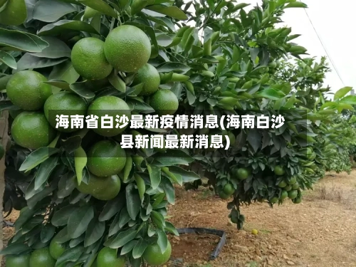 海南省白沙最新疫情消息(海南白沙县新闻最新消息)-第1张图片