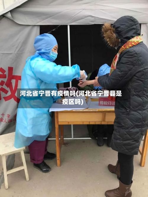 河北省宁晋有疫情吗(河北省宁晋县是疫区吗)-第2张图片