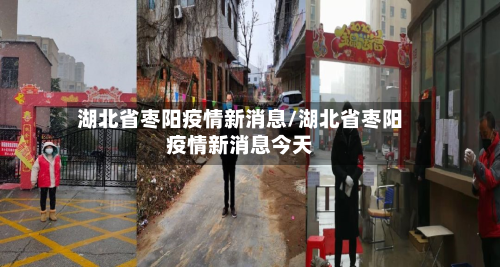 湖北省枣阳疫情新消息/湖北省枣阳疫情新消息今天-第2张图片