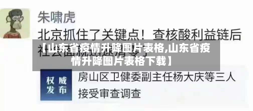 【山东省疫情升降图片表格,山东省疫情升降图片表格下载】-第2张图片