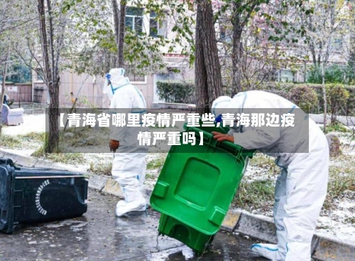 【青海省哪里疫情严重些,青海那边疫情严重吗】-第2张图片
