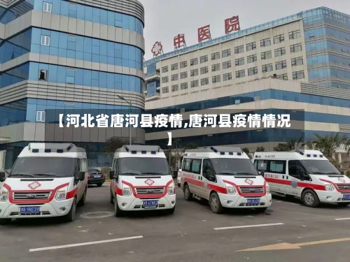 【河北省唐河县疫情,唐河县疫情情况】-第3张图片