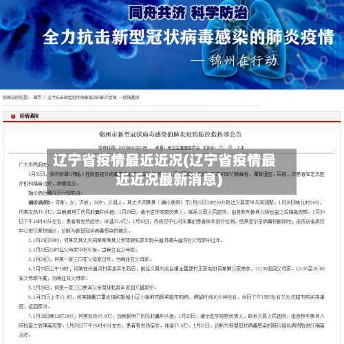 辽宁省疫情最近近况(辽宁省疫情最近近况最新消息)-第2张图片
