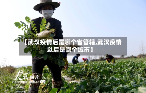 【武汉疫情后是哪个省管辖,武汉疫情以后是哪个城市】-第1张图片