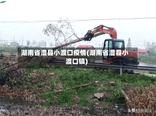 湖南省澧县小渡口疫情(湖南省澧县小渡口镇)-第2张图片