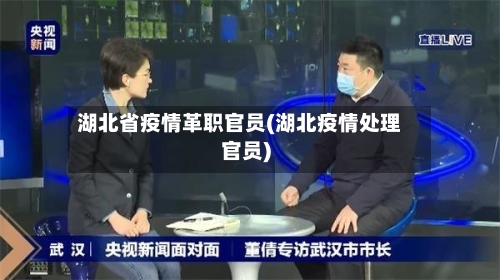 湖北省疫情革职官员(湖北疫情处理官员)-第2张图片