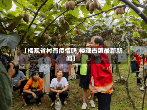 【楼观省村有疫情吗,楼观古镇最新新闻】-第3张图片