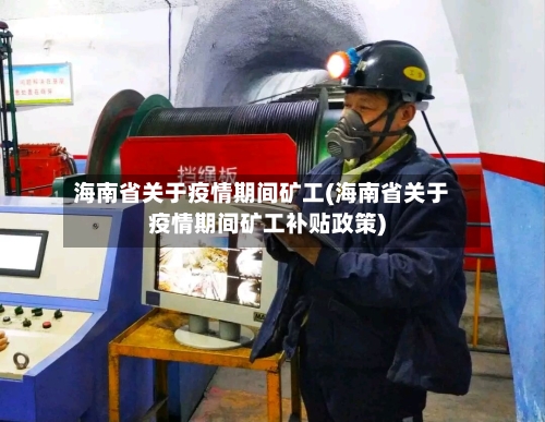海南省关于疫情期间矿工(海南省关于疫情期间矿工补贴政策)-第1张图片