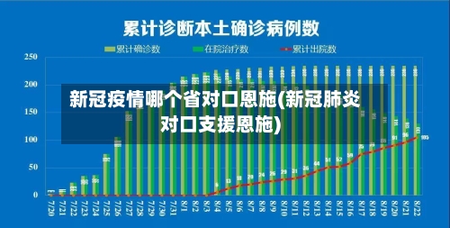 新冠疫情哪个省对口恩施(新冠肺炎对口支援恩施)-第1张图片