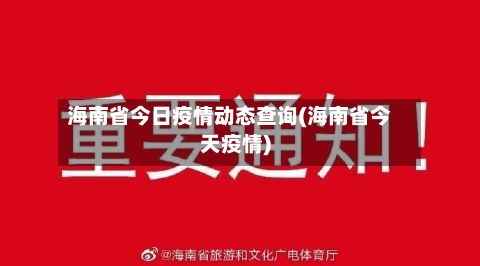 海南省今日疫情动态查询(海南省今天疫情)-第2张图片
