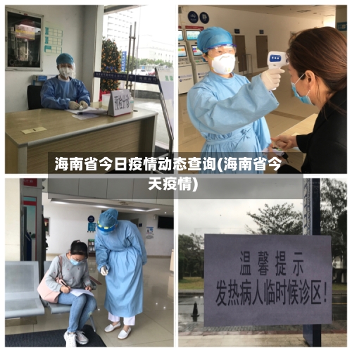 海南省今日疫情动态查询(海南省今天疫情)-第3张图片