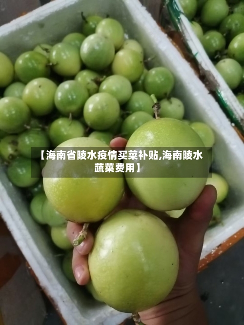 【海南省陵水疫情买菜补贴,海南陵水蔬菜费用】-第1张图片