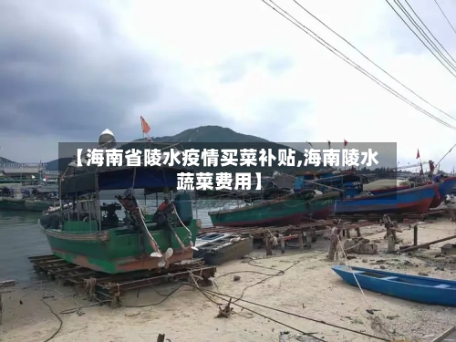 【海南省陵水疫情买菜补贴,海南陵水蔬菜费用】-第2张图片