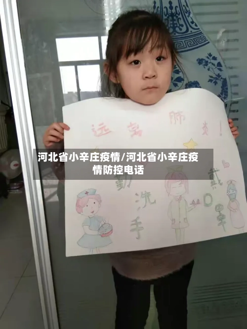 河北省小辛庄疫情/河北省小辛庄疫情防控电话-第2张图片