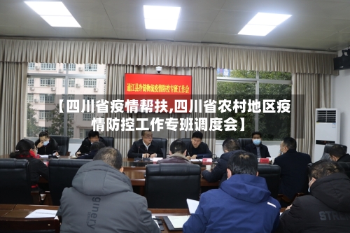 【四川省疫情帮扶,四川省农村地区疫情防控工作专班调度会】-第2张图片
