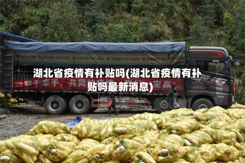 湖北省疫情有补贴吗(湖北省疫情有补贴吗最新消息)-第1张图片