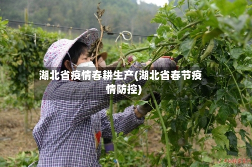 湖北省疫情春耕生产(湖北省春节疫情防控)-第1张图片
