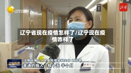 辽宁省现在疫情怎样了/辽宁现在疫情咋样了-第1张图片