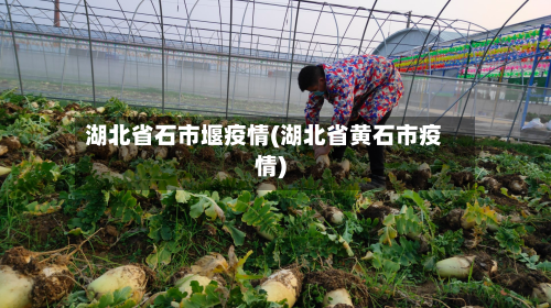 湖北省石市堰疫情(湖北省黄石市疫情)-第2张图片