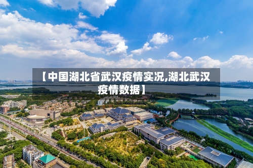 【中国湖北省武汉疫情实况,湖北武汉疫情数据】-第2张图片