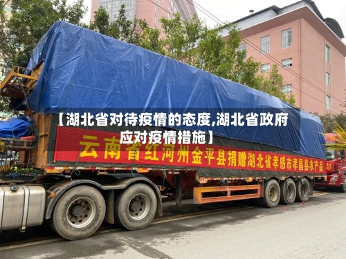 【湖北省对待疫情的态度,湖北省政府应对疫情措施】-第1张图片
