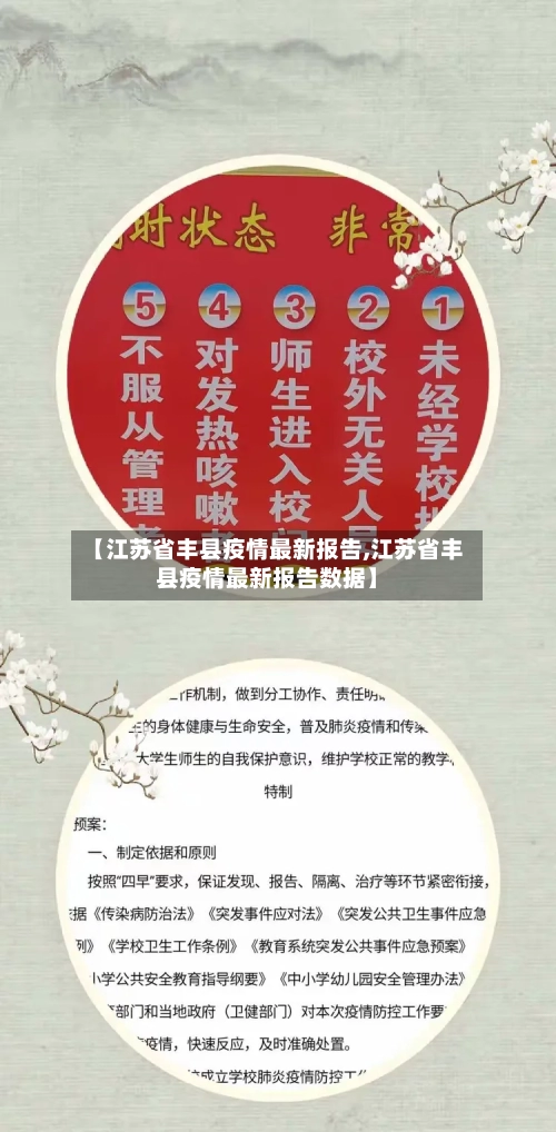 【江苏省丰县疫情最新报告,江苏省丰县疫情最新报告数据】-第3张图片