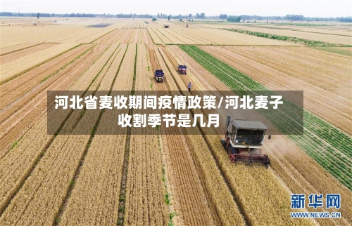 河北省麦收期间疫情政策/河北麦子收割季节是几月-第1张图片