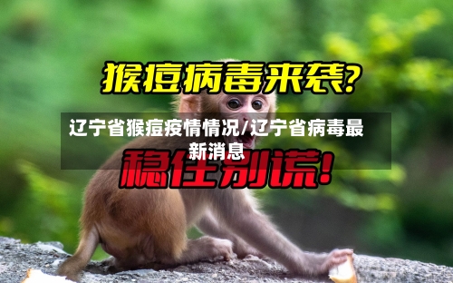 辽宁省猴痘疫情情况/辽宁省病毒最新消息-第3张图片