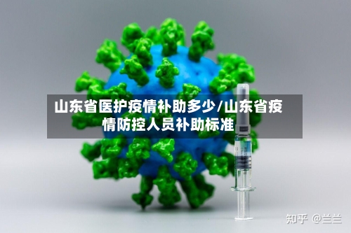 山东省医护疫情补助多少/山东省疫情防控人员补助标准-第2张图片