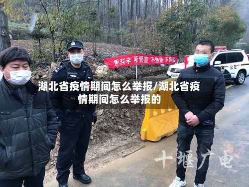 湖北省疫情期间怎么举报/湖北省疫情期间怎么举报的-第2张图片