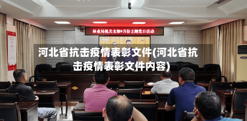 河北省抗击疫情表彰文件(河北省抗击疫情表彰文件内容)-第2张图片