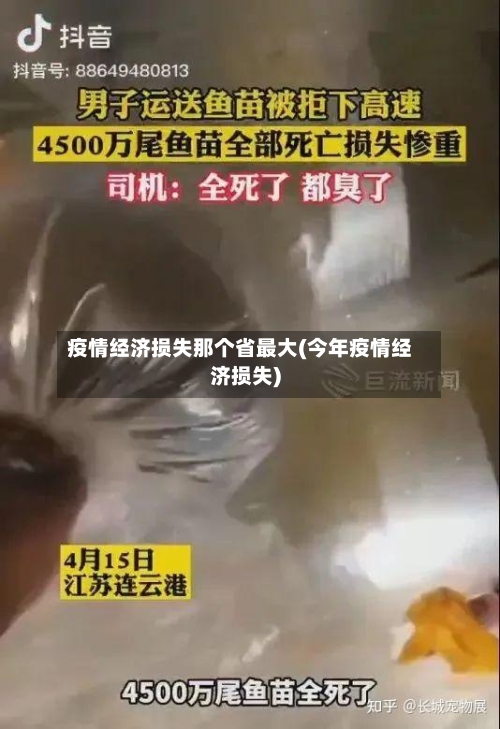 疫情经济损失那个省最大(今年疫情经济损失)-第1张图片