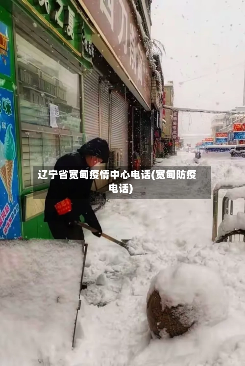 辽宁省宽甸疫情中心电话(宽甸防疫电话)-第1张图片