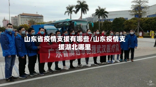山东省疫情支援有哪些/山东疫情支援湖北哪里-第2张图片