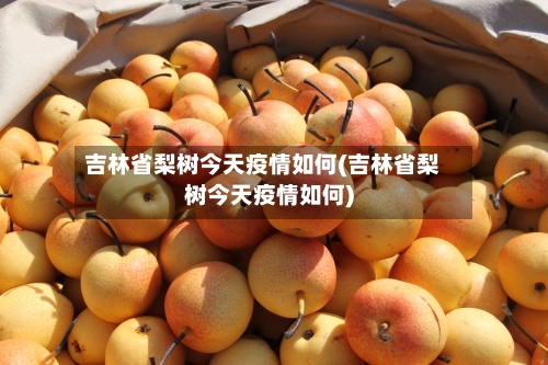 吉林省梨树今天疫情如何(吉林省梨树今天疫情如何)-第2张图片