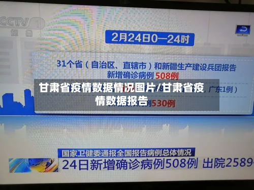 甘肃省疫情数据情况图片/甘肃省疫情数据报告-第2张图片