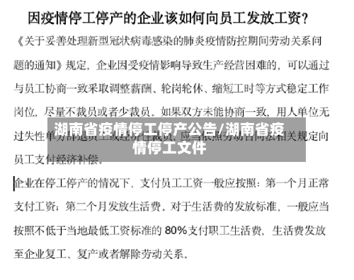 湖南省疫情停工停产公告/湖南省疫情停工文件-第1张图片