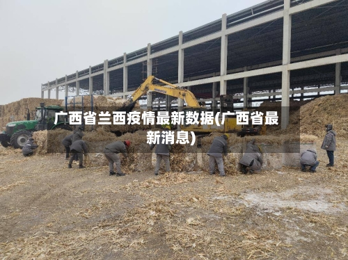 广西省兰西疫情最新数据(广西省最新消息)-第3张图片