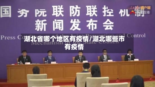湖北省哪个地区有疫情/湖北哪些市有疫情-第1张图片