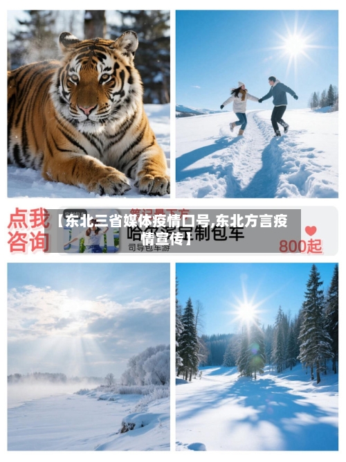 【东北三省媒体疫情口号,东北方言疫情宣传】-第3张图片