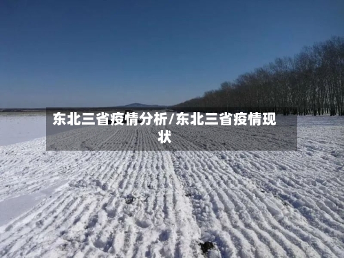 东北三省疫情分析/东北三省疫情现状-第2张图片