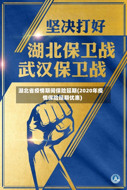 湖北省疫情期间保险延期(2020年疫情保险延期优惠)-第1张图片
