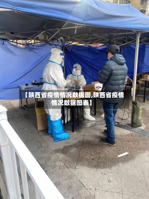 【陕西省疫情情况数据图,陕西省疫情情况数据图表】-第2张图片